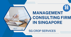 Management consulting firm in Singapore